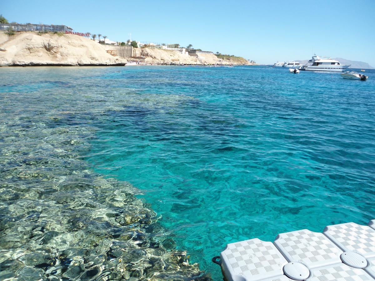 Sharks Bay Oasis Apartment Sharm el-Sheikh Bagian luar foto