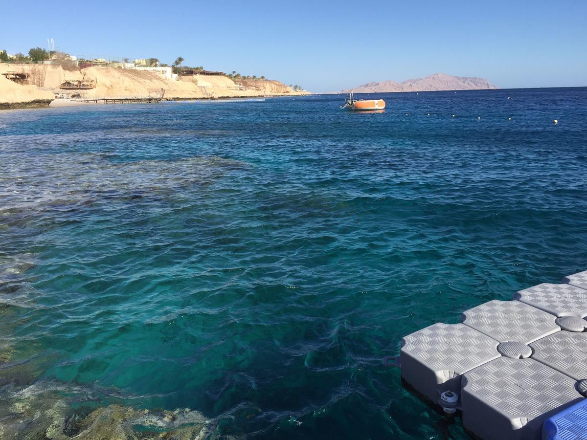 Sharks Bay Oasis Apartment Sharm el-Sheikh Bagian luar foto