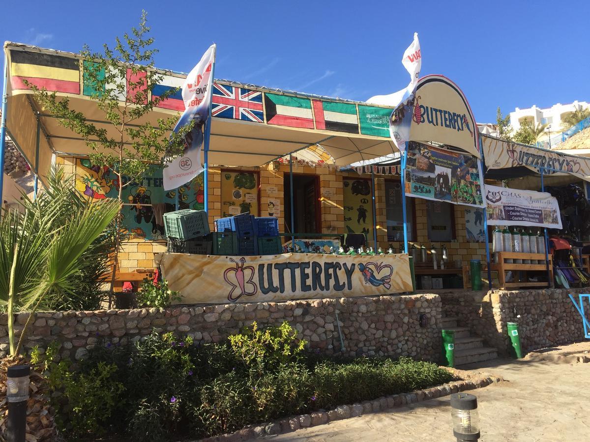 Sharks Bay Oasis Apartment Sharm el-Sheikh Bagian luar foto