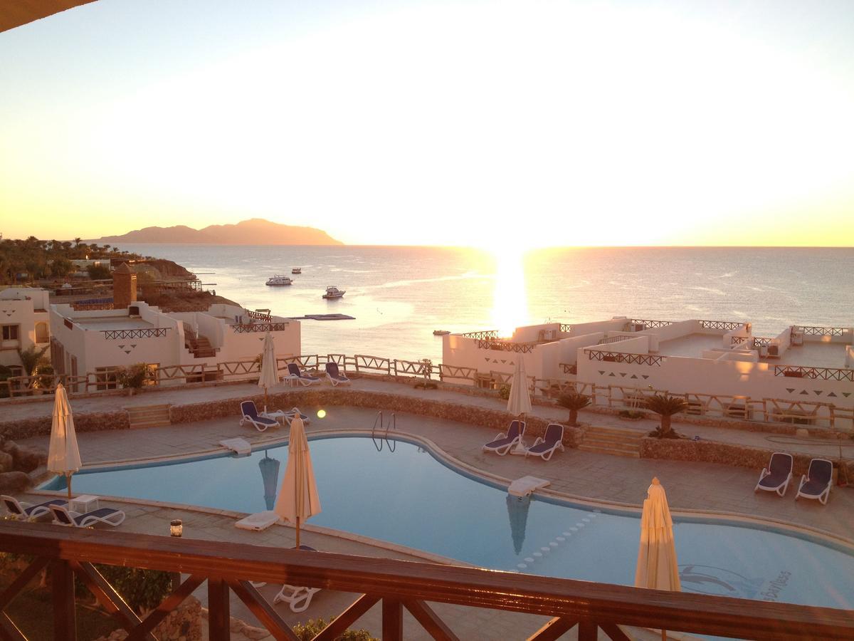 Sharks Bay Oasis Apartment Sharm el-Sheikh Bagian luar foto